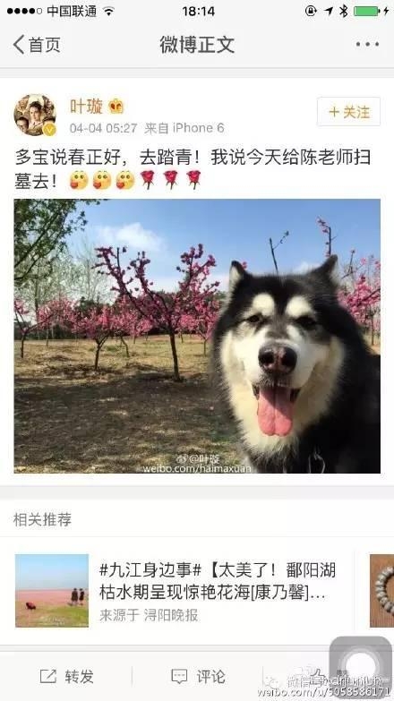 被下降头？叶璇家世大揭秘10段情史曝光