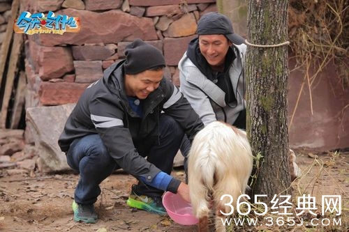 今天吃什么第四期嘉宾是谁