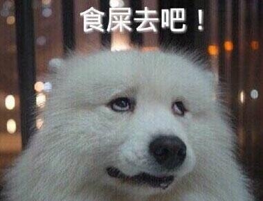 新闻哥：光棍节都收到什么礼物？2015.11.11