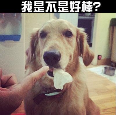 新闻哥：光棍节都收到什么礼物？2015.11.11