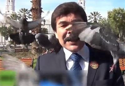 新闻哥：光棍节都收到什么礼物？2015.11.11