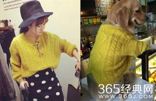 新闻哥：今天你们的钱包还丰满吗？2015.11.12