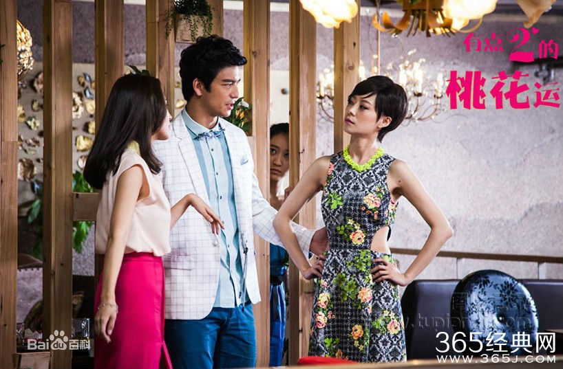 电视剧桃花运演员表