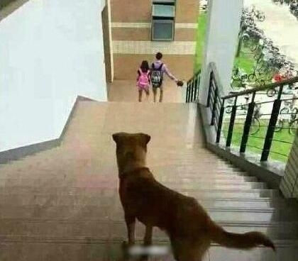 新闻哥：今天你们的钱包还丰满吗？2015.11.12