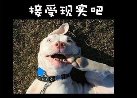 新闻哥：今天你们的钱包还丰满吗？2015.11.12