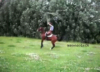 新闻哥：今天你们的钱包还丰满吗？2015.11.12