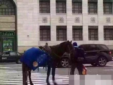 新闻哥：今天你们的钱包还丰满吗？2015.11.12