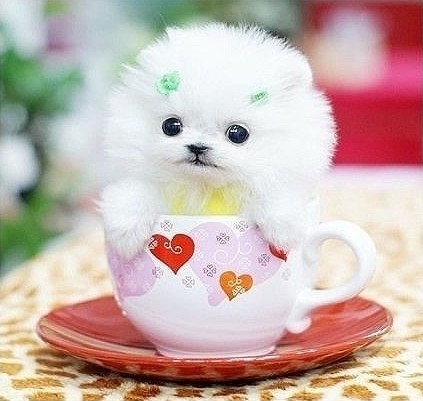 七拐八弯冷笑话