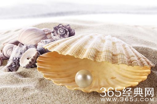 不经痛苦的忍耐,怎能有珍珠的璀璨