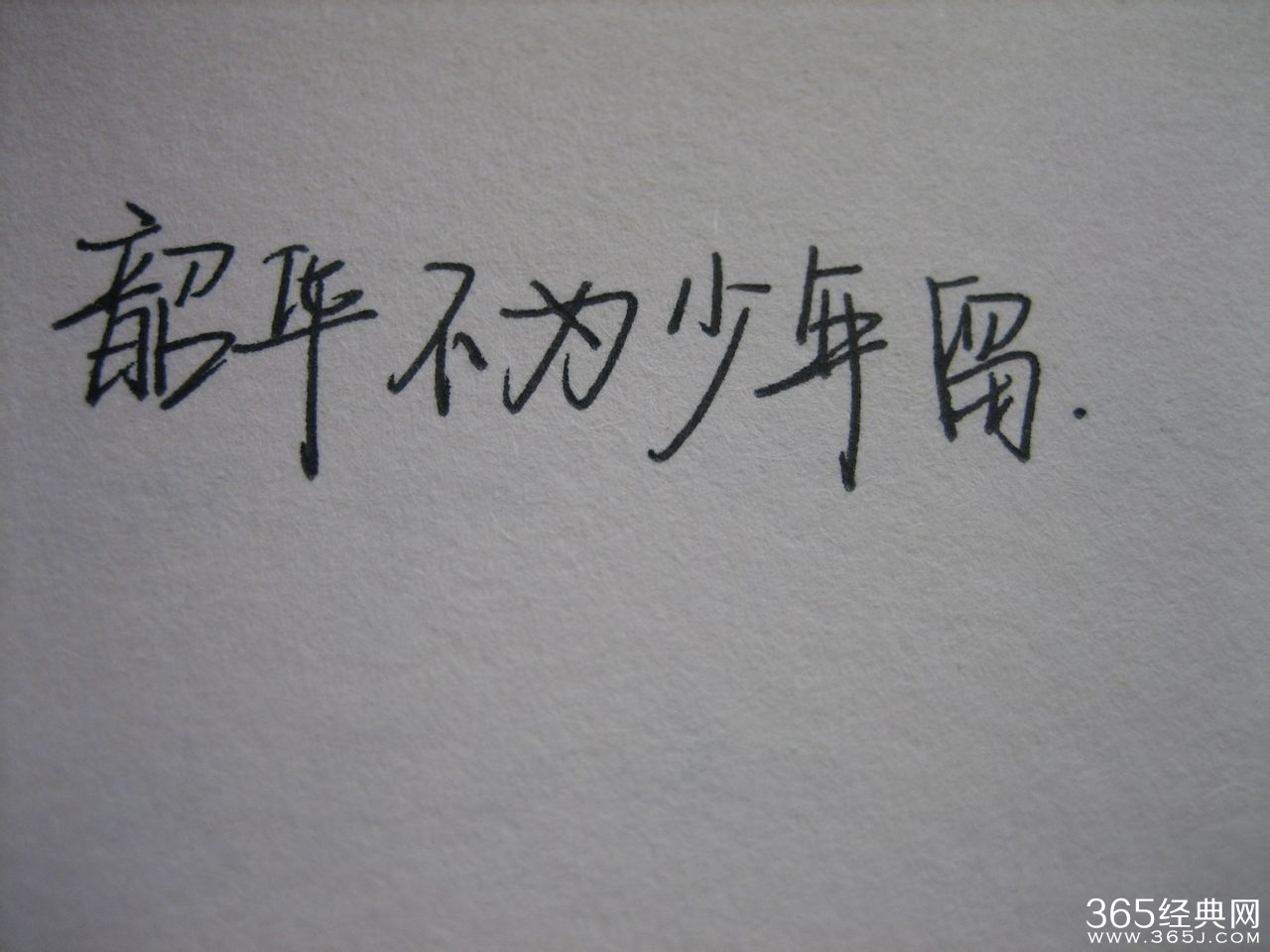 韶华不为少年留