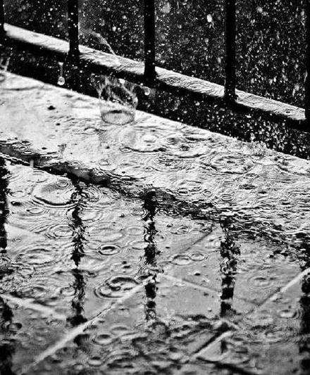 早安心语：为什么爸妈很少玩手机，因为爱的人已经在身边。2015.11.16