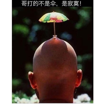 新闻哥：有一种叫别人家的老公！2015.11.16