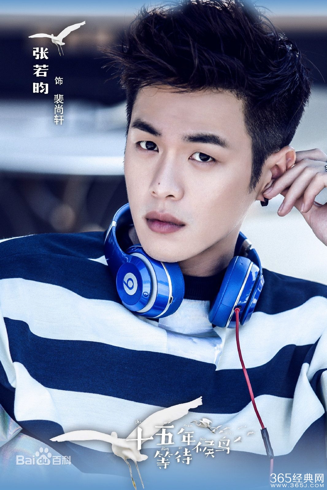 十五年等待候鸟演员表