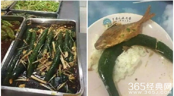 中国民航大学食堂黑暗料理之青龙出海 整条黄瓜炒大葱