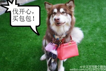 新闻哥：世界杯国足要等到2022年！2015.11.18