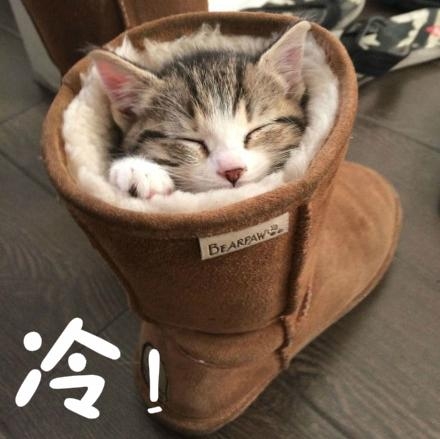 新闻哥：世界杯国足要等到2022年！2015.11.18