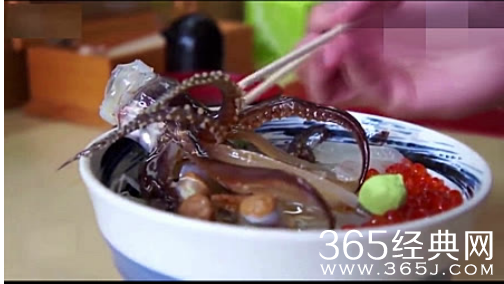 会跳舞的鱿鱼盖浇饭完整视频