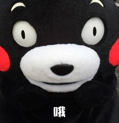 新闻哥：美女脸上满满的嫌弃啊！2015.11.19