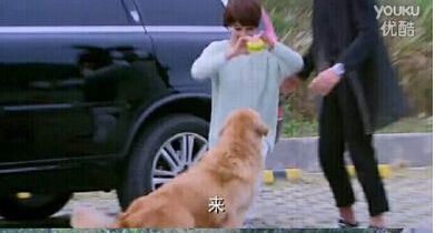 幸福归来小狗光光是什么品种