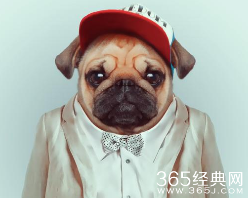 压箱底的笑话大合集