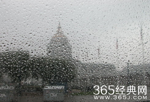 一场冬雨一场情