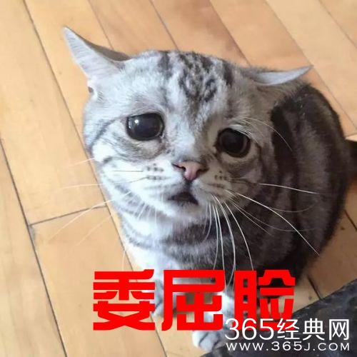 新闻哥：有福同享，有难不当。2015.11.24