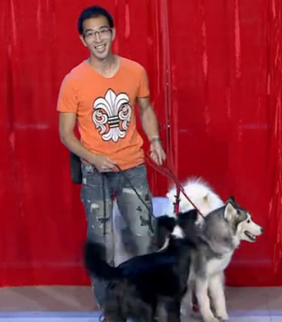 笑傲江湖吴起人狗组合萌翻全场