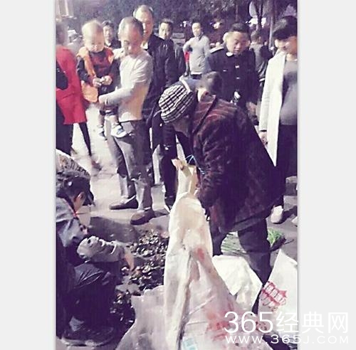 新闻哥：女人往往比男人更坚定！2015.11.26