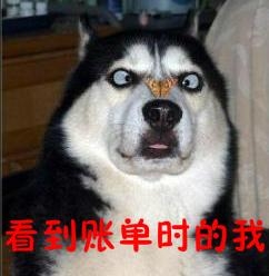 新闻哥：妻子和前任告别青春！2015.11.27