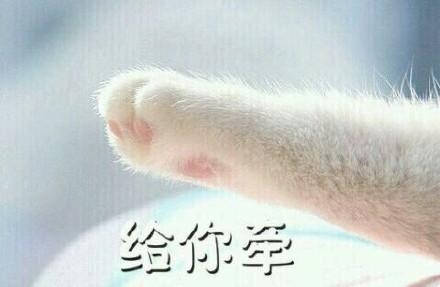 新闻哥：妻子和前任告别青春！2015.11.27