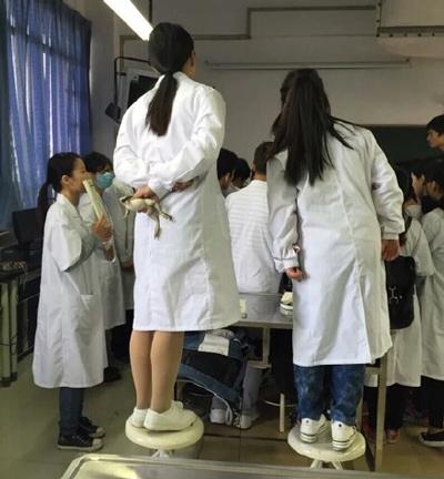 新闻哥：妻子和前任告别青春！2015.11.27