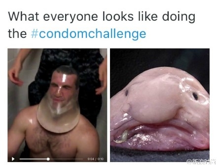 套套挑战网络蹿红