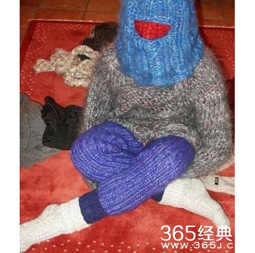 爆笑笑话小明滚出去第四季