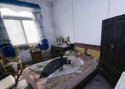 老人去世6年无人知 被发现时只剩一堆骨头