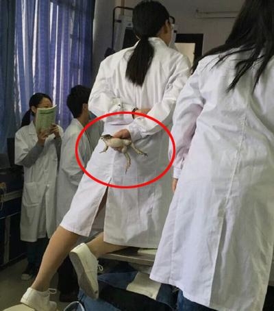 新闻哥：妻子和前任告别青春！2015.11.27