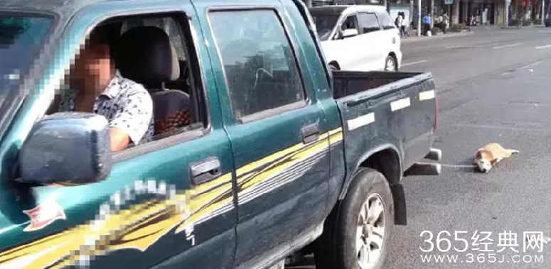货车司机拖死小狗