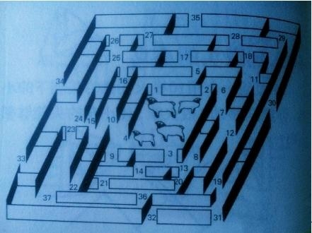 新闻哥：你是你妈亲生的吗？2015.11.30