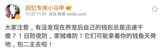 新闻哥：2015年的最后一个月！2015.12.01