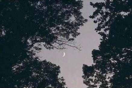 早安心语：原来真的喜欢一个人，会没有勇气告诉他。2015.12.1