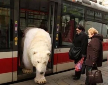 新闻哥：2015年的最后一个月！2015.12.01