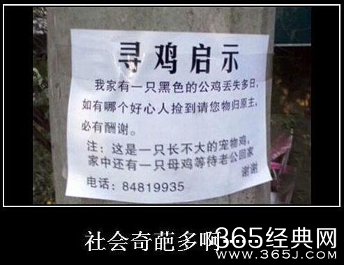 新闻哥：办婚宴保证不离婚！2015.12.02