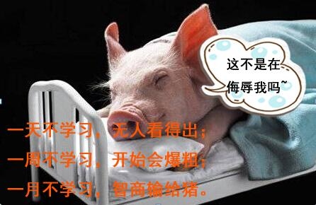 新闻哥：办婚宴保证不离婚！2015.12.02