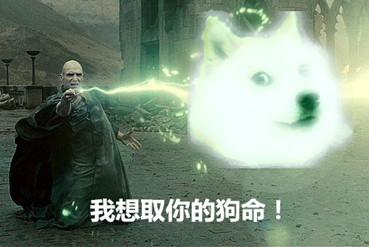 新闻哥：秀恩爱死得快！2015.12.03