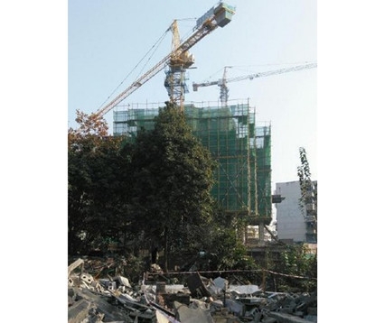 新闻哥：秀恩爱死得快！2015.12.03