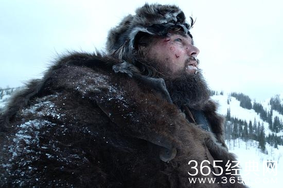 荒野猎人中莱昂纳多被熊强暴怎么回事