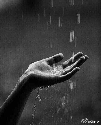 愿所有的负担，都变成生命的礼物