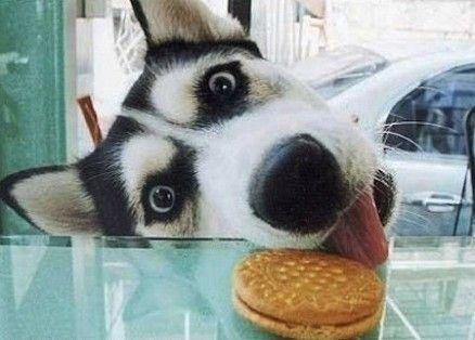 新闻哥：上午离婚下午结婚！2015.12.04