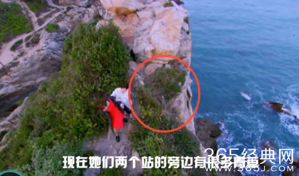 电视剧幸福归来穿帮镜头第一期