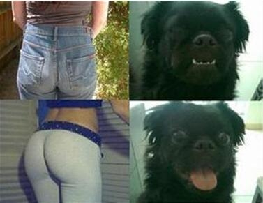 新闻哥：上午离婚下午结婚！2015.12.04