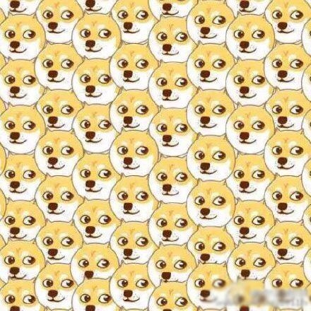 新闻哥：上午离婚下午结婚！2015.12.04